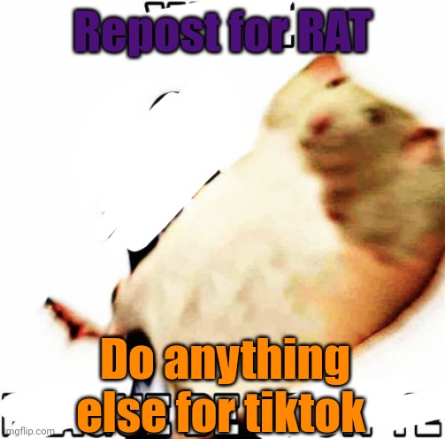 Popular rat trend | Repost for RAT; Do anything else for tiktok | image tagged in woe plague be upon ye,rats,popular trends | made w/ Imgflip meme maker