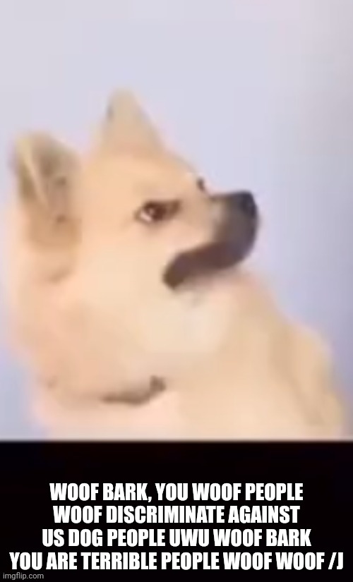 Annoyed doggo | WOOF BARK, YOU WOOF PEOPLE WOOF DISCRIMINATE AGAINST US DOG PEOPLE UWU WOOF BARK YOU ARE TERRIBLE PEOPLE WOOF WOOF /J | image tagged in annoyed doggo | made w/ Imgflip meme maker