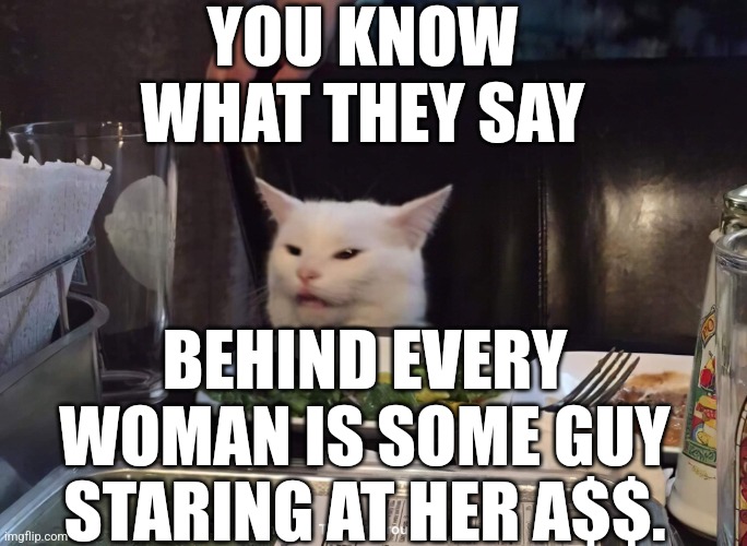  YOU KNOW WHAT THEY SAY; BEHIND EVERY WOMAN IS SOME GUY STARING AT HER A$$. | image tagged in smudge the cat | made w/ Imgflip meme maker