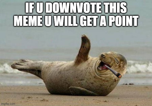 title | IF U DOWNVOTE THIS MEME U WILL GET A POINT | image tagged in laughing sael | made w/ Imgflip meme maker