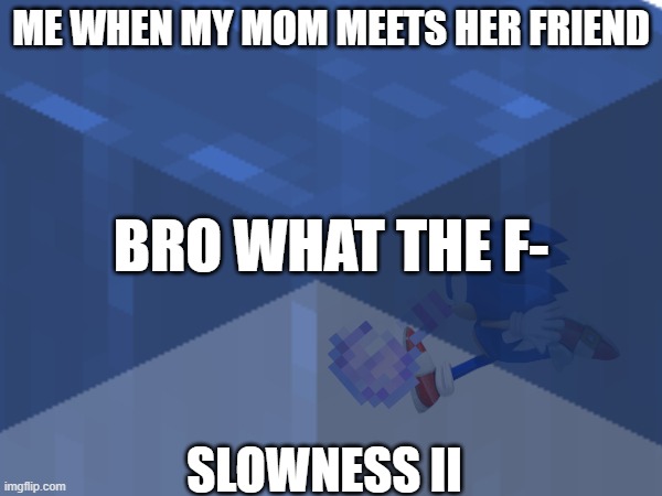 mom and friend | ME WHEN MY MOM MEETS HER FRIEND; BRO WHAT THE F-; SLOWNESS II | image tagged in sonic,sonic the hedgehog,minecraft,funny memes,funny | made w/ Imgflip meme maker