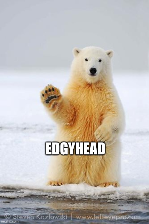 hello polar bear | EDGYHEAD | image tagged in hello polar bear | made w/ Imgflip meme maker