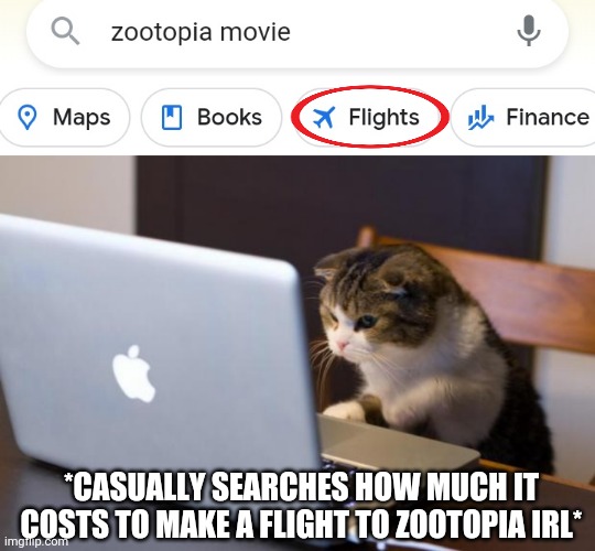 *CASUALLY SEARCHES HOW MUCH IT COSTS TO MAKE A FLIGHT TO ZOOTOPIA IRL* | image tagged in cat using computer | made w/ Imgflip meme maker