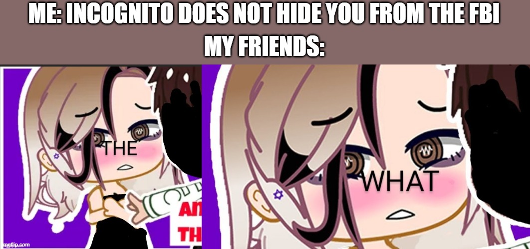 just trying to get this popular | ME: INCOGNITO DOES NOT HIDE YOU FROM THE FBI; MY FRIENDS: | image tagged in the what gacha club meme | made w/ Imgflip meme maker