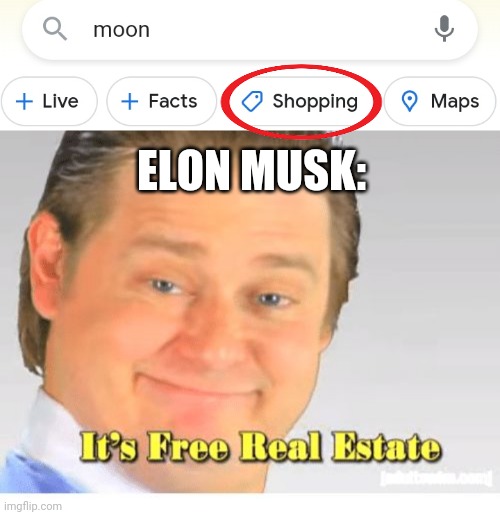 ELON MUSK: | image tagged in it's free real estate | made w/ Imgflip meme maker
