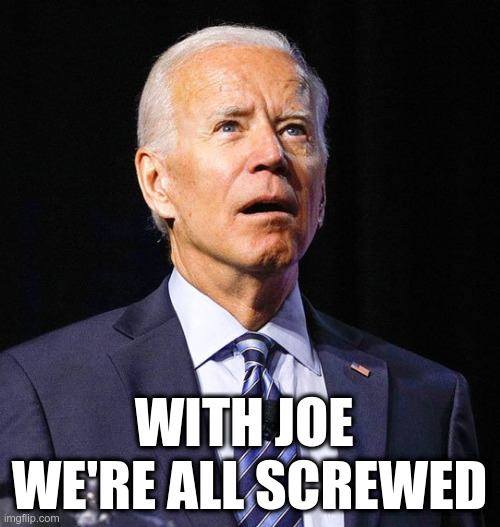 Joe Biden | WITH JOE 
WE'RE ALL SCREWED | image tagged in joe biden | made w/ Imgflip meme maker
