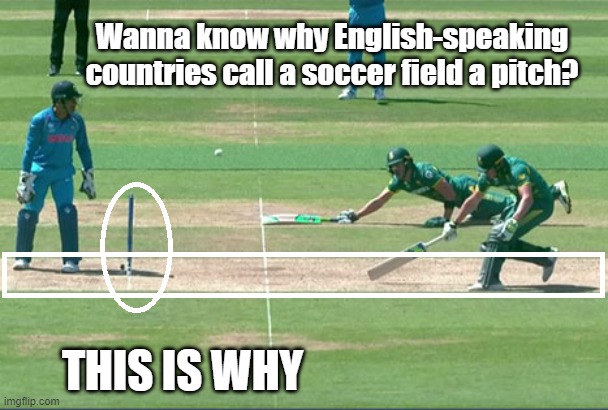 now you know, mates | Wanna know why English-speaking countries call a soccer field a pitch? THIS IS WHY | image tagged in cricket,soccer,football,football field,the more you know | made w/ Imgflip meme maker