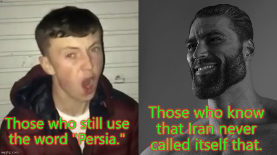 Get it right. |  Those who know that Iran never called itself that. Those who still use
the word "Persia." | image tagged in average vs enjoyer,microaggression,middle east,history | made w/ Imgflip meme maker