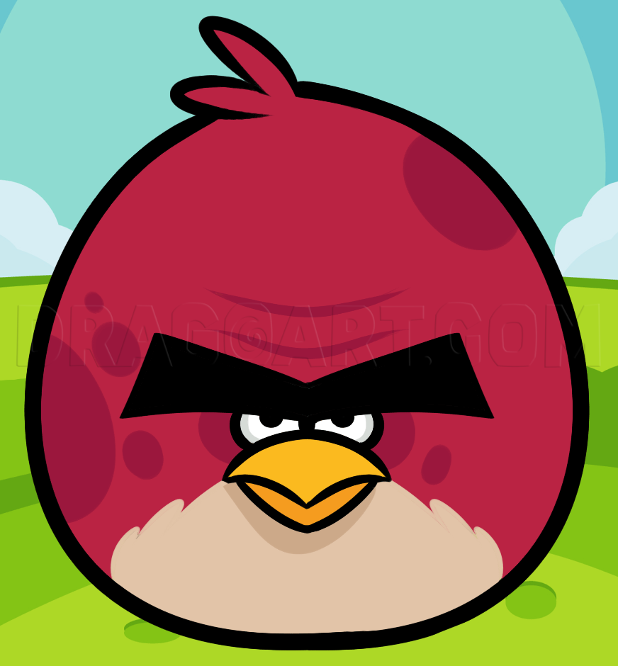 Angry Bird Blank Meme Template