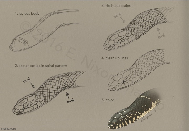 NOT MY WORK // how to draw a snake | image tagged in how to draw a snake | made w/ Imgflip meme maker