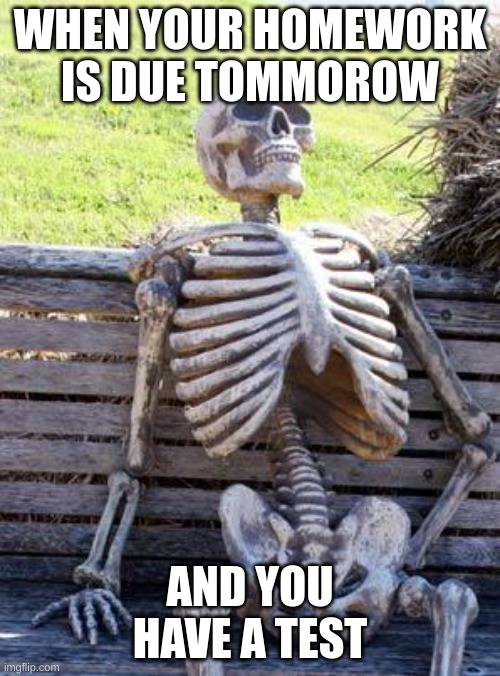 Waiting Skeleton Meme | WHEN YOUR HOMEWORK IS DUE TOMMOROW; AND YOU HAVE A TEST | image tagged in memes,waiting skeleton | made w/ Imgflip meme maker