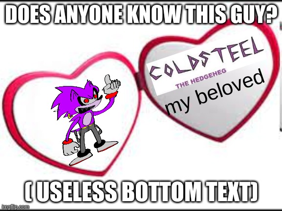 Coldsteel My Beloved :> | DOES ANYONE KNOW THIS GUY? ( USELESS BOTTOM TEXT) | image tagged in coldsteel the hedgeheg my beloved | made w/ Imgflip meme maker