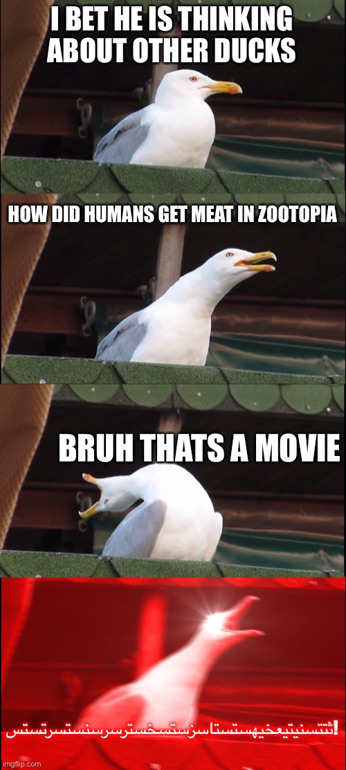 Duck sharing its mind | I BET HE IS THINKING ABOUT OTHER DUCKS; HOW DID HUMANS GET MEAT IN ZOOTOPIA; BRUH THATS A MOVIE; ثتتسنيتيعخيهستستاسزستسخسترسرسنستسرتستس! | image tagged in memes,inhaling seagull | made w/ Imgflip meme maker