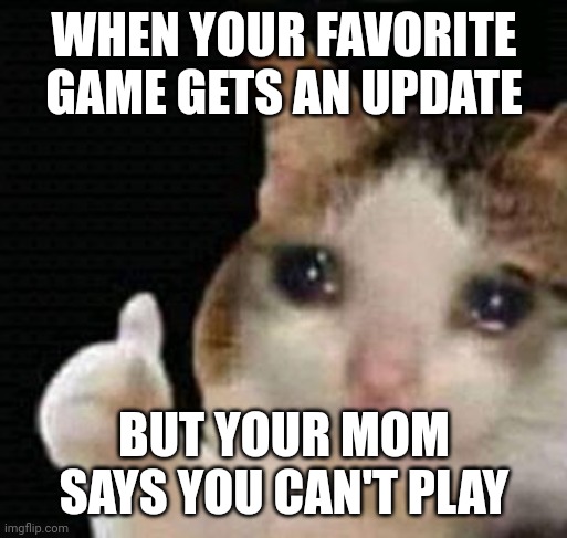 Me when |  WHEN YOUR FAVORITE GAME GETS AN UPDATE; BUT YOUR MOM SAYS YOU CAN'T PLAY | image tagged in sad thumbs up cat,games,sad but true | made w/ Imgflip meme maker