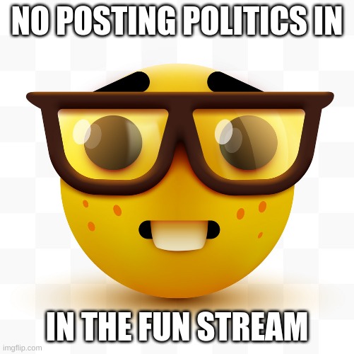 NO POSTING POLITICS IN IN THE FUN STREAM | image tagged in nerd emoji | made w/ Imgflip meme maker