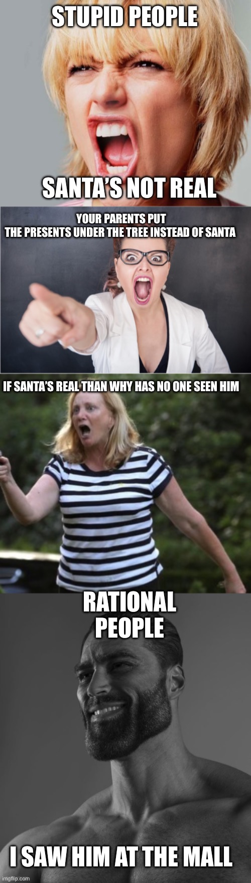 That’s what I’m saying | STUPID PEOPLE; SANTA’S NOT REAL; YOUR PARENTS PUT THE PRESENTS UNDER THE TREE INSTEAD OF SANTA; IF SANTA’S REAL THAN WHY HAS NO ONE SEEN HIM; RATIONAL PEOPLE; I SAW HIM AT THE MALL | image tagged in super angry karen,angry karen,angry gun karen,giga chad | made w/ Imgflip meme maker