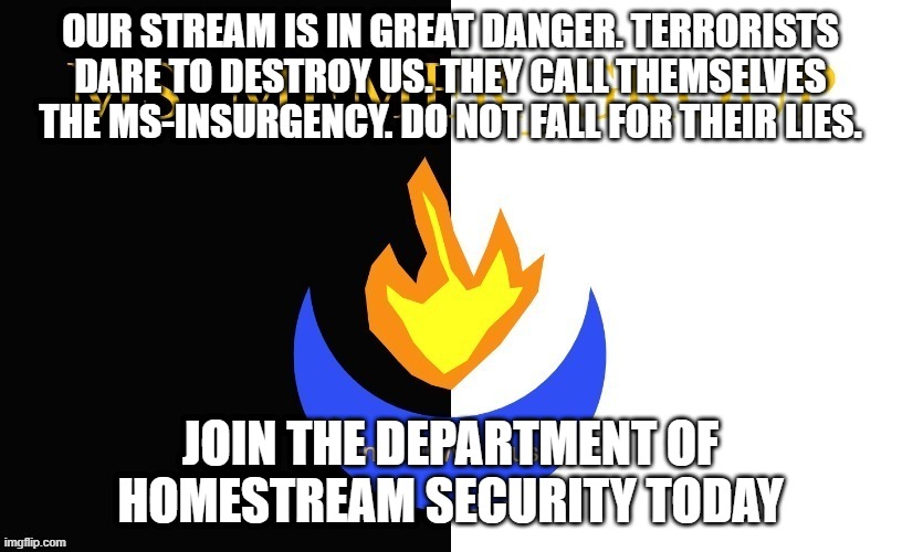 Department of Homestream Security, a division of the MSMG Army | OUR STREAM IS IN GREAT DANGER. TERRORISTS DARE TO DESTROY US. THEY CALL THEMSELVES THE MS-INSURGENCY. DO NOT FALL FOR THEIR LIES. JOIN THE DEPARTMENT OF HOMESTREAM SECURITY TODAY | image tagged in msmg flag | made w/ Imgflip meme maker