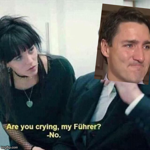 crying turdo | image tagged in are you crying my fuhrer | made w/ Imgflip meme maker