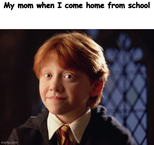 Ron Weasley | My mom when I come home from school | image tagged in ron weasley | made w/ Imgflip meme maker