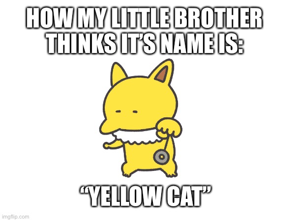 y tho | HOW MY LITTLE BROTHER THINKS IT’S NAME IS:; “YELLOW CAT” | made w/ Imgflip meme maker