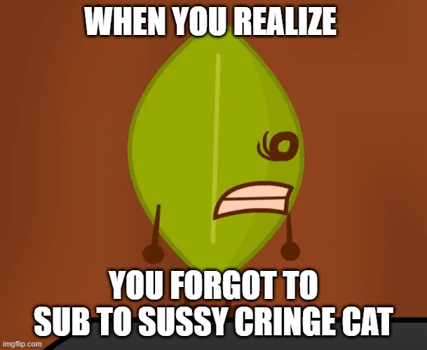 BFDI "Wat" Face | WHEN YOU REALIZE; YOU FORGOT TO SUB TO SUSSY CRINGE CAT | image tagged in bfdi wat face | made w/ Imgflip meme maker