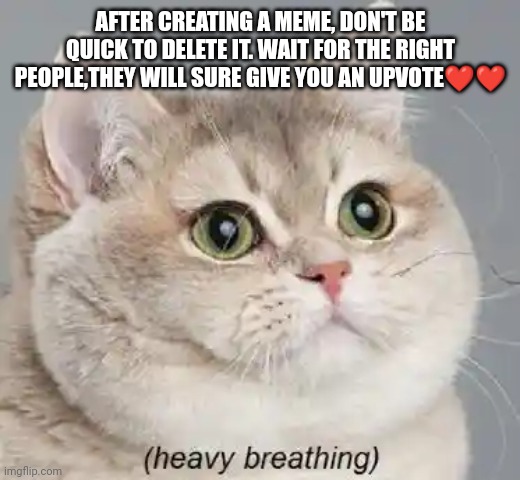Heavy Breathing Cat | AFTER CREATING A MEME, DON'T BE QUICK TO DELETE IT. WAIT FOR THE RIGHT PEOPLE,THEY WILL SURE GIVE YOU AN UPVOTE❤️❤️ | image tagged in memes,heavy breathing cat | made w/ Imgflip meme maker