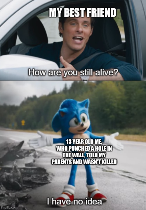 I have no idea | MY BEST FRIEND; 13 YEAR OLD ME, WHO PUNCHED A HOLE IN THE WALL, TOLD MY PARENTS AND WASN’T KILLED | image tagged in sonic how are you still alive | made w/ Imgflip meme maker