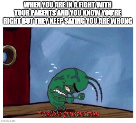 arguments actually be like | WHEN YOU ARE IN A FIGHT WITH YOUR PARENTS AND YOU KNOW YOU'RE RIGHT BUT THEY KEEP SAYING YOU ARE WRONG; *visible frustration | image tagged in plankton angry | made w/ Imgflip meme maker