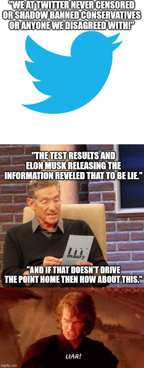 Of course we knew then what Elon is revealing now. | "WE AT TWITTER NEVER CENSORED OR SHADOW BANNED CONSERVATIVES OR ANYONE WE DISAGREED WITH!"; "THE TEST RESULTS AND ELON MUSK RELEASING THE INFORMATION REVELED THAT TO BE LIE."; "AND IF THAT DOESN'T DRIVE THE POINT HOME THEN HOW ABOUT THIS." | image tagged in twitter birds says,lies,elon musk,maury lie detector,anakin liar,political meme | made w/ Imgflip meme maker