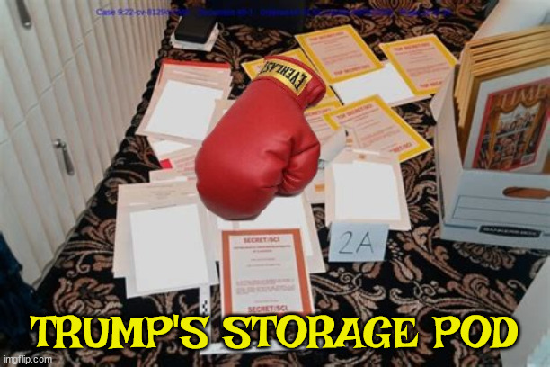 Trump's storage pod | TRUMP'S STORAGE POD | image tagged in donald trump,stotage pod,one red boxing glove,maga,crininal | made w/ Imgflip meme maker