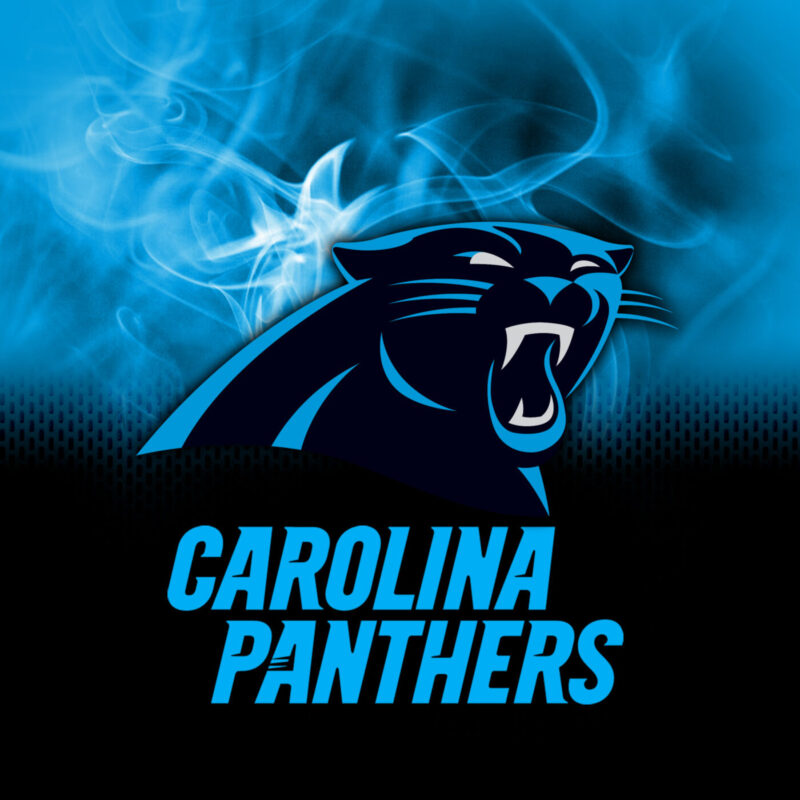 Panthers Blank Meme Template