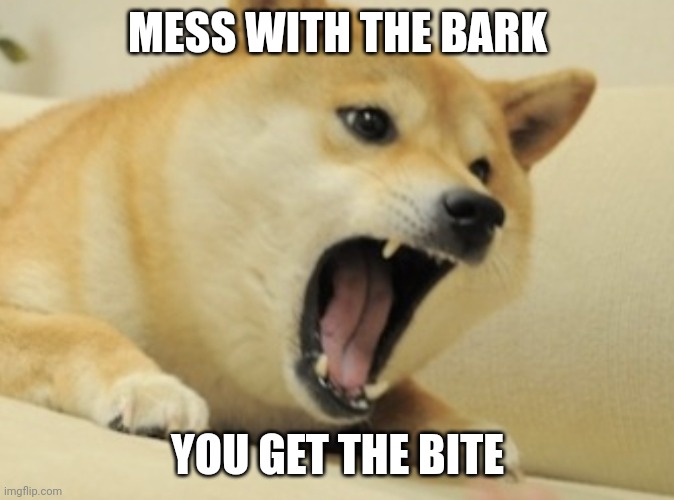 MESS WITH THE BARK YOU GET THE BITE | MESS WITH THE BARK; YOU GET THE BITE | image tagged in doge bark,barking,memes,dogs,funny | made w/ Imgflip meme maker