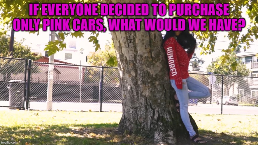 IF EVERYONE DECIDED TO PURCHASE ONLY PINK CARS, WHAT WOULD WE HAVE? | image tagged in riddle | made w/ Imgflip meme maker