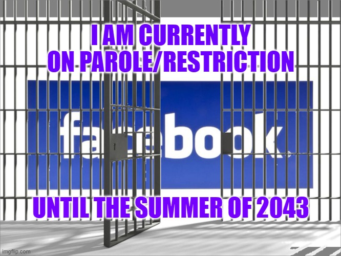 Facebook jail | I AM CURRENTLY ON PAROLE/RESTRICTION; UNTIL THE SUMMER OF 2043 | image tagged in facebook jail | made w/ Imgflip meme maker