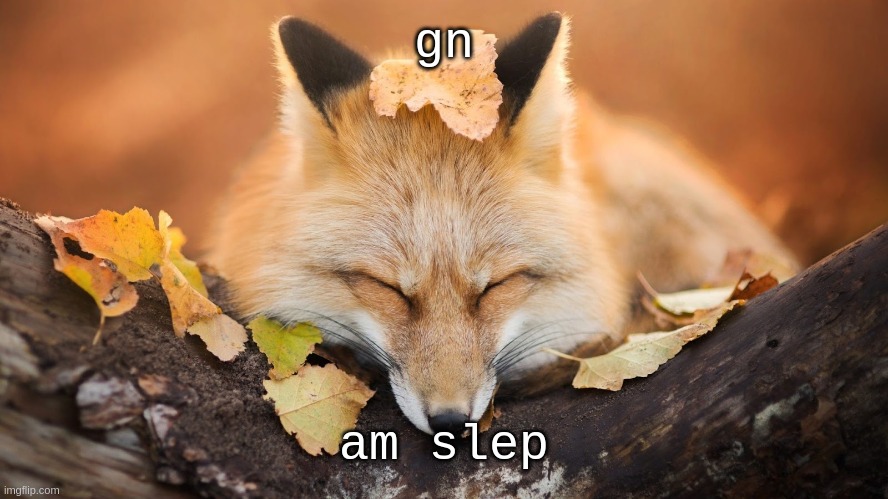 Goodnight | gn; am slep | image tagged in goodnight | made w/ Imgflip meme maker