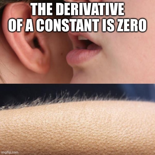 Whisper and Goosebumps | THE DERIVATIVE OF A CONSTANT IS ZERO | image tagged in whisper and goosebumps | made w/ Imgflip meme maker