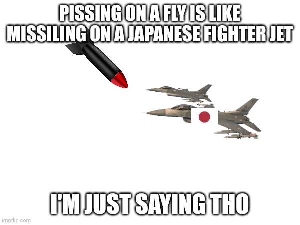 Hmm? | PISSING ON A FLY IS LIKE MISSILING ON A JAPANESE FIGHTER JET; I'M JUST SAYING THO | image tagged in ww2 | made w/ Imgflip meme maker
