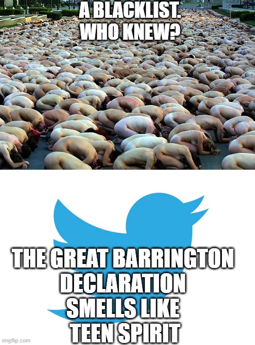 Dr. Sunetra Gupta, Dr. Martin Kulldorff, & we give you: Blacklisted by Twitter- Dr. Jay Bhattacharya | A BLACKLIST.
WHO KNEW? THE GREAT BARRINGTON 
DECLARATION 
SMELLS LIKE 
TEEN SPIRIT | image tagged in twitter,pandemic,dr fauci,cdc,joe biden,elon musk | made w/ Imgflip meme maker