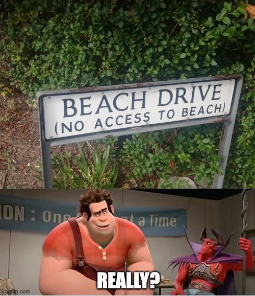 Amazing, there is access to the beach | REALLY? | image tagged in really wreck it ralph,really,irony,beach access,beach,access | made w/ Imgflip meme maker