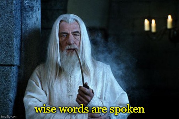 Wise words are spoken  | wise words are spoken | image tagged in wise words are spoken | made w/ Imgflip meme maker