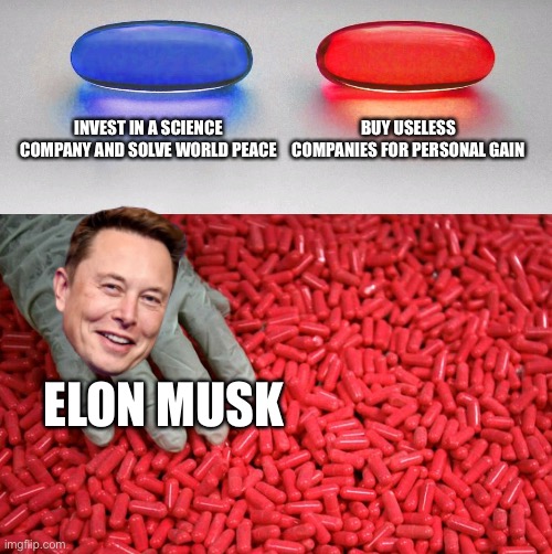 Elon Musk meme | INVEST IN A SCIENCE COMPANY AND SOLVE WORLD PEACE; BUY USELESS COMPANIES FOR PERSONAL GAIN; ELON MUSK | image tagged in blue or red pill | made w/ Imgflip meme maker