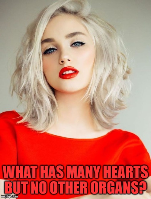 WHAT HAS MANY HEARTS BUT NO OTHER ORGANS? | image tagged in riddle | made w/ Imgflip meme maker