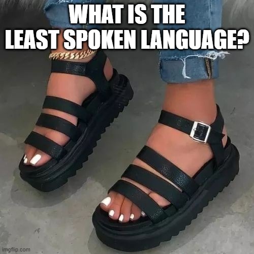 WHAT IS THE LEAST SPOKEN LANGUAGE? | image tagged in riddle | made w/ Imgflip meme maker