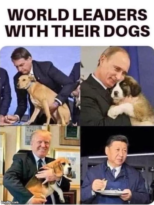 Dog Lovers ! | image tagged in yummy | made w/ Imgflip meme maker