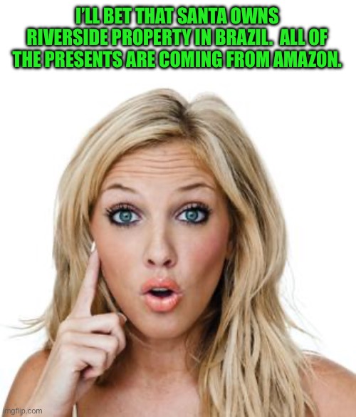 Amazon | I’LL BET THAT SANTA OWNS RIVERSIDE PROPERTY IN BRAZIL.  ALL OF THE PRESENTS ARE COMING FROM AMAZON. | image tagged in dumb blonde | made w/ Imgflip meme maker