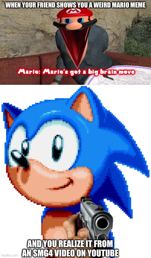 WHEN YOUR FRIEND SHOWS YOU A WEIRD MARIO MEME; AND YOU REALIZE IT FROM AN SMG4 VIDEO ON YOUTUBE | image tagged in mario's got a big brain move,sonic with a gun | made w/ Imgflip meme maker