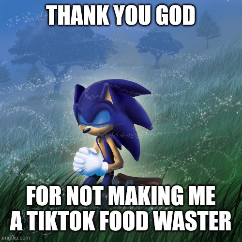 thank you god | THANK YOU GOD; FOR NOT MAKING ME A TIKTOK FOOD WASTER | image tagged in sonic praying | made w/ Imgflip meme maker