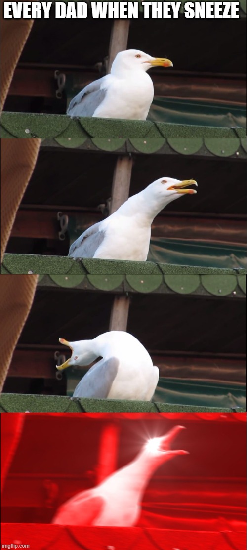 free Potchi | EVERY DAD WHEN THEY SNEEZE | image tagged in memes,inhaling seagull | made w/ Imgflip meme maker