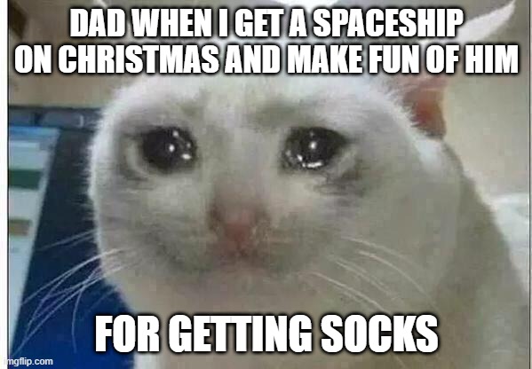i dont want to grow up now | DAD WHEN I GET A SPACESHIP ON CHRISTMAS AND MAKE FUN OF HIM; FOR GETTING SOCKS | image tagged in crying cat,christmas | made w/ Imgflip meme maker