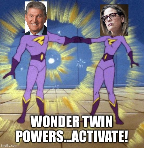 Manchin & Sinema | WONDER TWIN POWERS…ACTIVATE! | image tagged in wonder twins | made w/ Imgflip meme maker